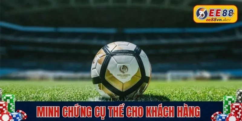 Dẫn chứng chi tiết giải mã cho khách hàng