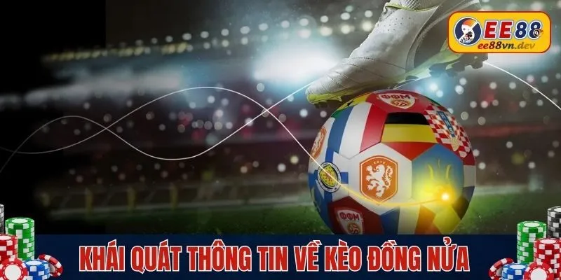 Khái quát thông tin về kèo đồng nửa