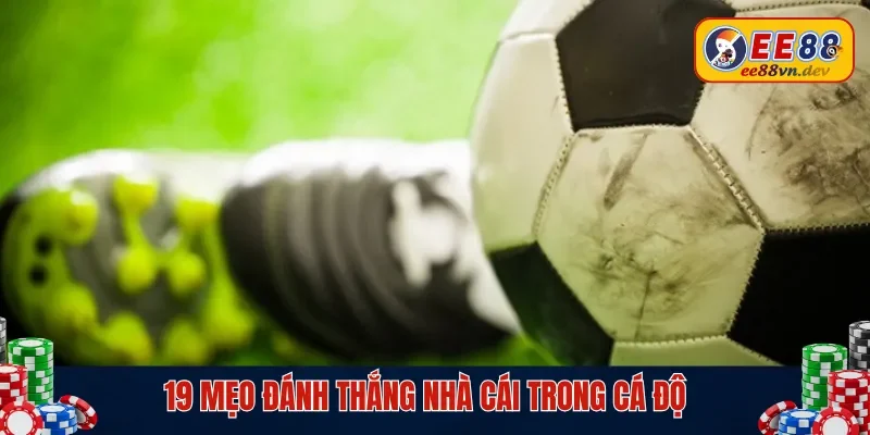 19 mẹo đánh thắng nhà cái trong cá độ